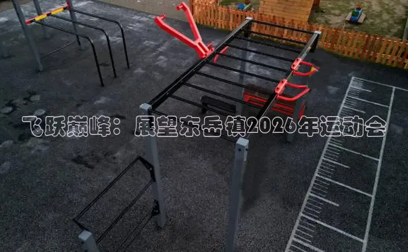 熊猫体育网站